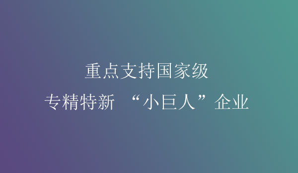 小巨人企業(yè)項目申報