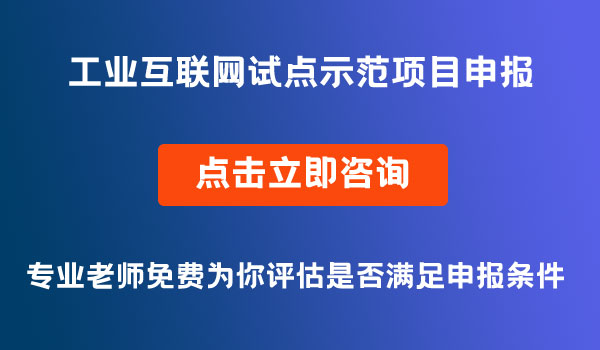 工業(yè)互聯(lián)網(wǎng)試點示范項目申報