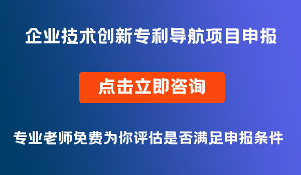 企業(yè)技術(shù)創(chuàng)新專利導(dǎo)航項目申報