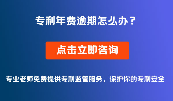 專利年費(fèi)逾期