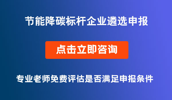 節(jié)能降碳標桿企業(yè)