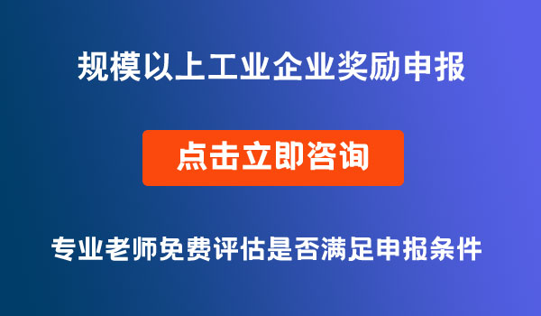 規(guī)模以上工業(yè)企業(yè)獎(jiǎng)勵(lì)申報(bào)