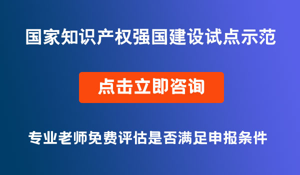 國家知識產(chǎn)權(quán)強國建設(shè)試點示范單位