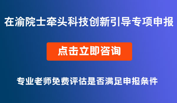 科技創(chuàng)新引導(dǎo)專項申報