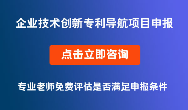 企業(yè)技術(shù)創(chuàng)新專利導(dǎo)航項目申報