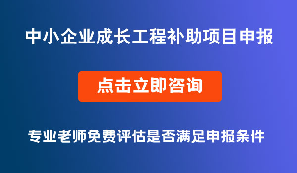 中小企業(yè)成長工程補(bǔ)助項(xiàng)目申報