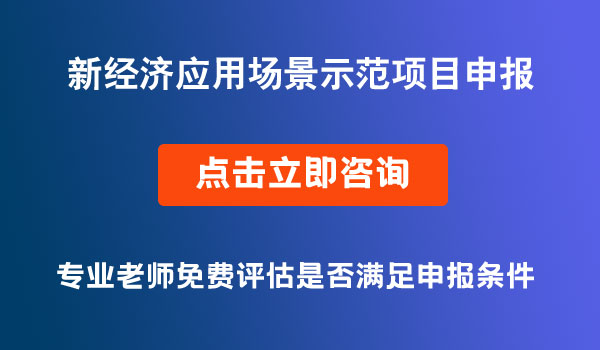 新經(jīng)濟(jì)應(yīng)用場景示范項(xiàng)目、科技計(jì)劃項(xiàng)目