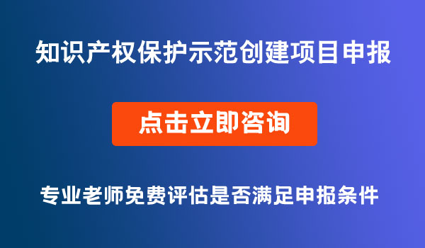 知識產(chǎn)權(quán)保護示范創(chuàng)建項目