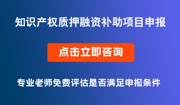 知識產(chǎn)權(quán)質(zhì)押融資評估費(fèi)及專利保險(xiǎn)保費(fèi)補(bǔ)助申報(bào)