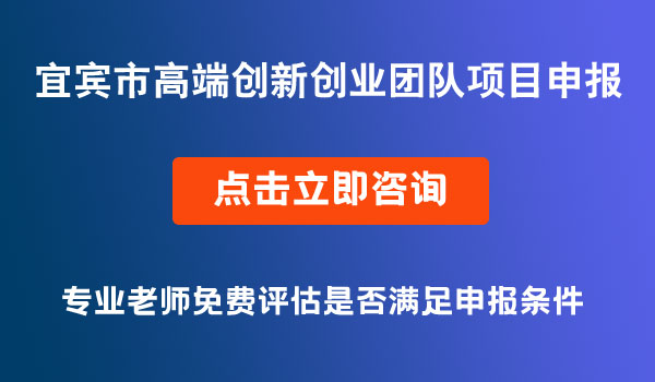 高端創(chuàng)新創(chuàng)業(yè)團(tuán)隊項目申報