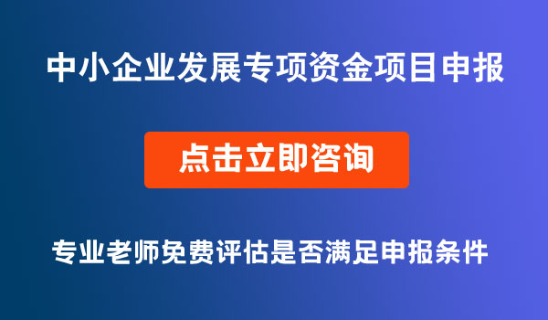 中小企業(yè)發(fā)展專項(xiàng)資金項(xiàng)目申報(bào)