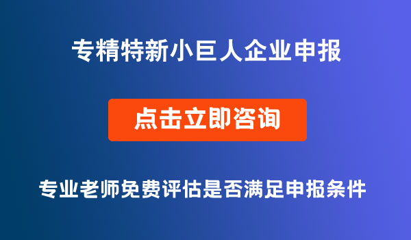 專精特新企業(yè)申報(bào)