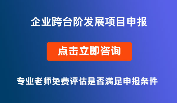 企業(yè)跨臺階發(fā)展項目