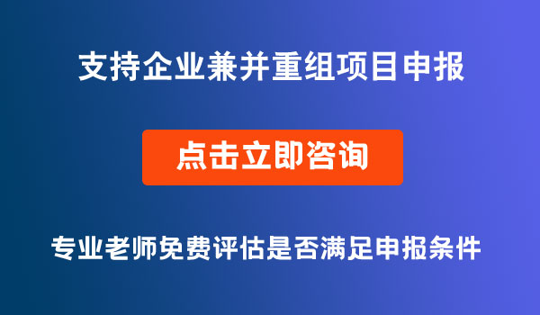 支持企業(yè)兼并重組項(xiàng)目申報