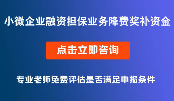 小微企業(yè)融資擔(dān)保業(yè)務(wù)降費(fèi)獎(jiǎng)補(bǔ)資金