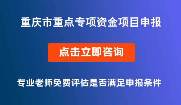 重點專項資金項目申報