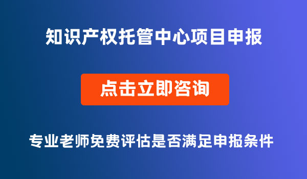 知識產(chǎn)權(quán)托管中心項目申報