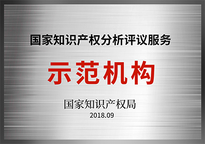 國家知識(shí)產(chǎn)權(quán)分析評(píng)議服務(wù)示范機(jī)構(gòu)